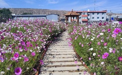 结婚晚上怎么吃女生的小兔兔